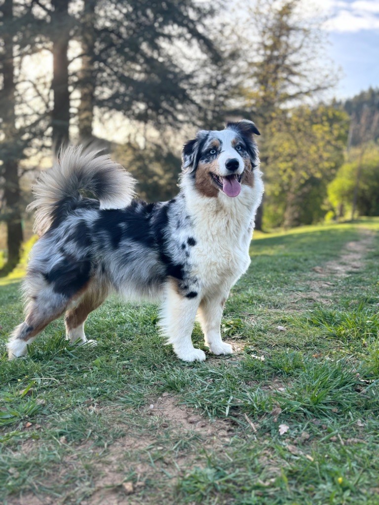 Tara De La Tour Des Salelles