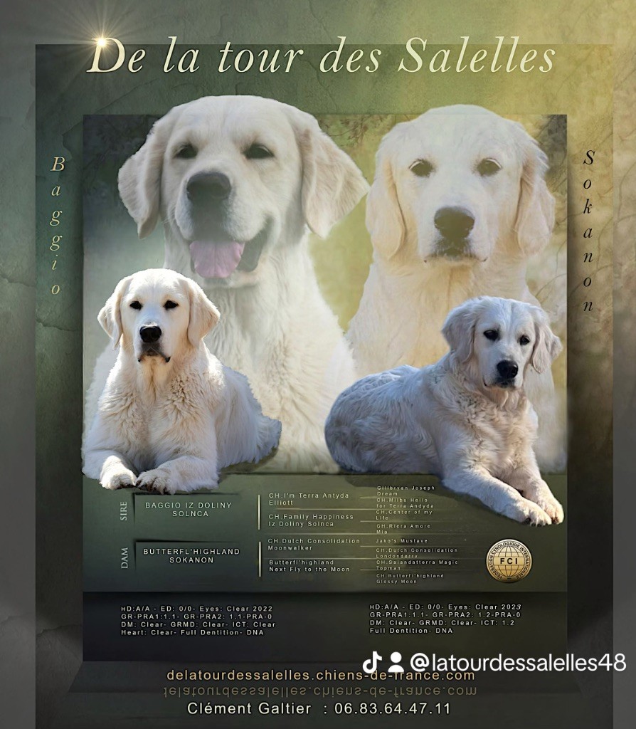 Les bébés de sokanon et Baggio vont pas tarder à arriver ?